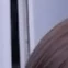 빼꼼 먼지