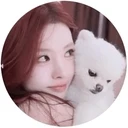 쁠리강아지