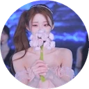 꽃채채