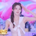 충성 채채