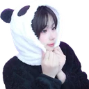 푸바오서아리
