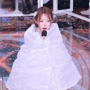 모기장채채