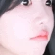 금붕어 늑대채린