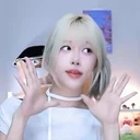 레이디먼지