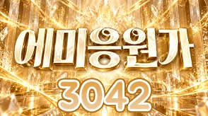 에미응원가